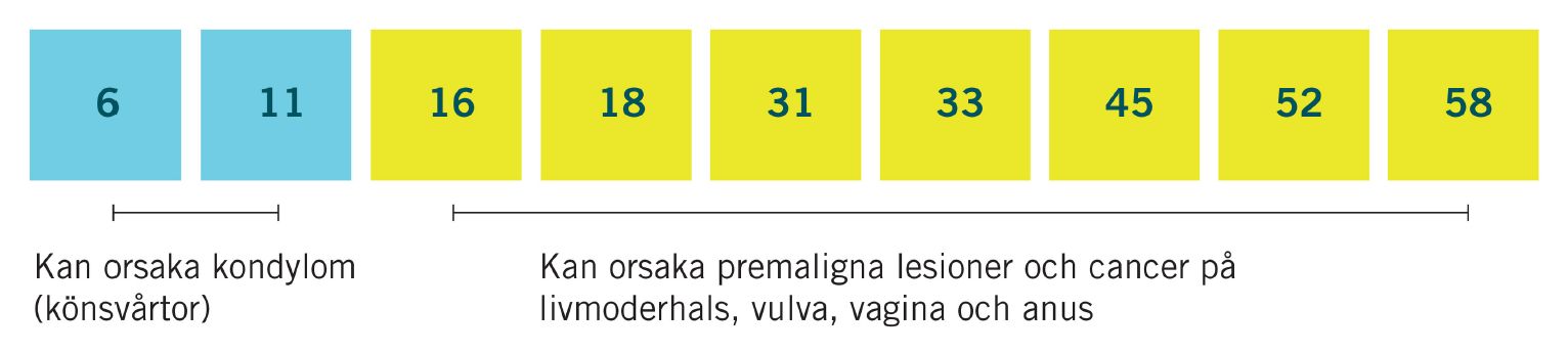 Gardasil 9 - HPV typer