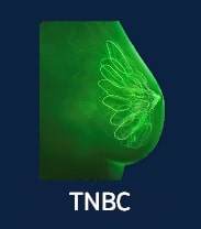 TNBC - Biomarker Image Bank