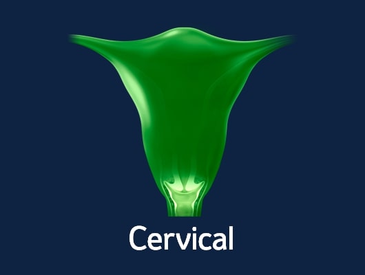 Cervical