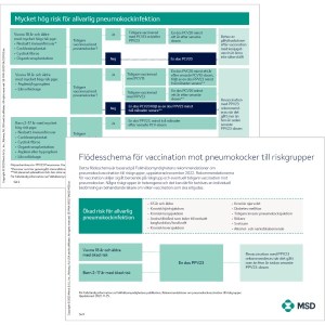 Flödesschema för vaccination mot pneumokocker till riskgrupper: en enkel PDF-samanfattning
