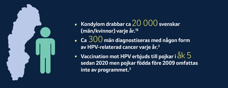HPV hos män i Sverige