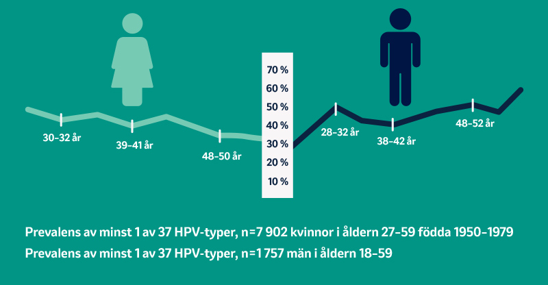 HPV-prevalens hos män minskar inte med åldern