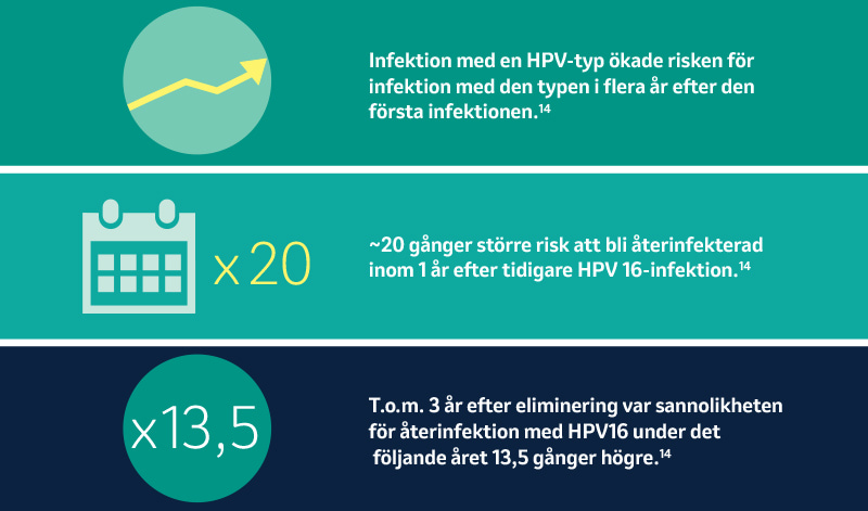 Typspecifik HPV-infektion är inte skyddande hos ovaccinerade män