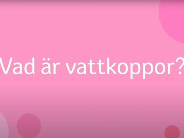Vad är vattkoppor?