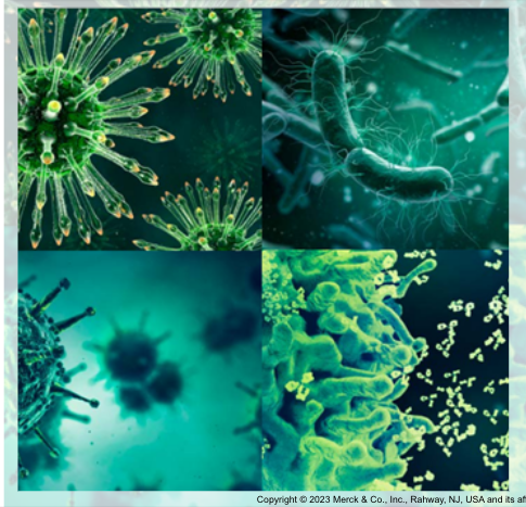 Vacciner-Varicella