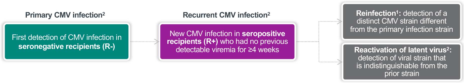 HSCT and CMV background